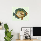 Big Colorful Fish Poster (Thuiskantoor)