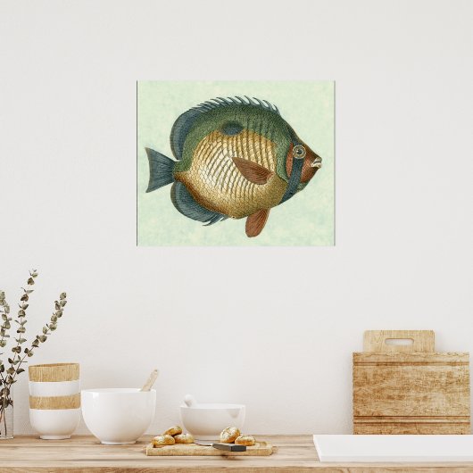 Big Colorful Fish Poster (Keuken)