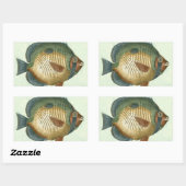 Big Colorful Fish Rechthoekige Sticker (Vel)