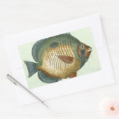 Big Colorful Fish Rechthoekige Sticker (Envelop)