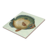 Big Colorful Fish Tegeltje (Zijkant)