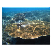 Big Corral Foto Afdruk (Voorkant)