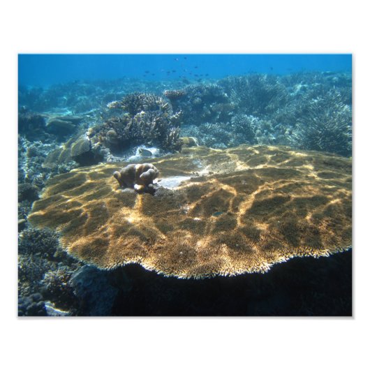 Big Corral Foto Afdruk (Voorkant)