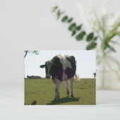 Big Cow Briefkaart (Staand voorkant)