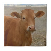 Big Cow Eyes - Roodvee Tegeltje (Voorkant)