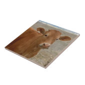 Big Cow Eyes - Roodvee Tegeltje (Zijkant)