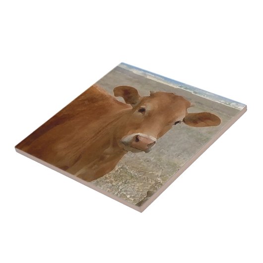 Big Cow Eyes - Roodvee Tegeltje (Zijkant)