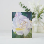 Big Creamy White Gardenia Briefkaart (Staand voorkant)