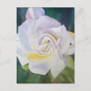 Big Creamy White Gardenia Briefkaart