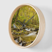 Big Creek | North Carolina (Hoek)