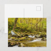 Big Creek | North Carolina Briefkaart (Voorkant / Achterkant)
