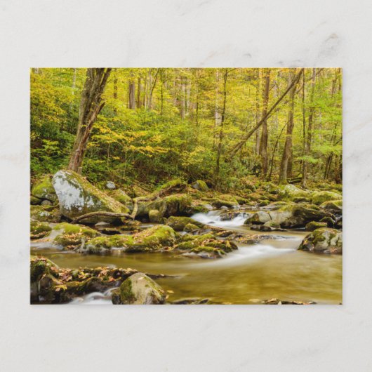 Big Creek | North Carolina Briefkaart (Voorkant)