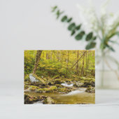 Big Creek | North Carolina Briefkaart (Staand voorkant)