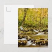 Big Creek | North Carolina Briefkaart (Voorkant / Achterkant)