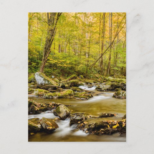 Big Creek | North Carolina Briefkaart (Voorkant)