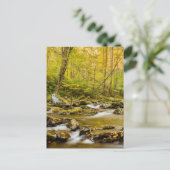 Big Creek | North Carolina Briefkaart (Staand voorkant)