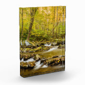 Big Creek | North Carolina Fotoblokken (Links)