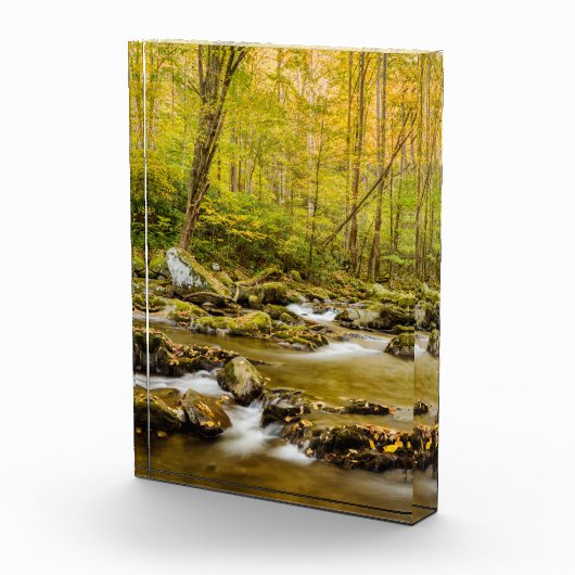 Big Creek | North Carolina Fotoblokken (Rechts)