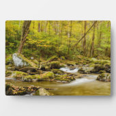 Big Creek | North Carolina Fotoplaat (voorkant)