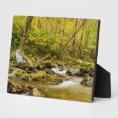 Big Creek | North Carolina Fotoplaat (Zijkant)