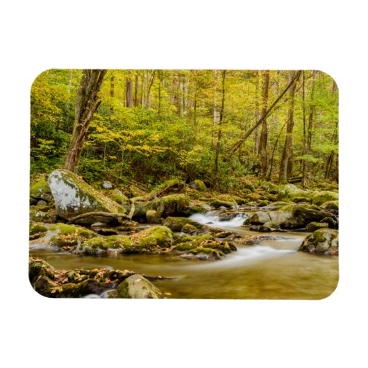 Big Creek | North Carolina Magneet (Horizontaal)