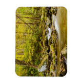 Big Creek | North Carolina Magneet (Verticaal)