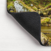 Big Creek | North Carolina Muismat (Hoek)