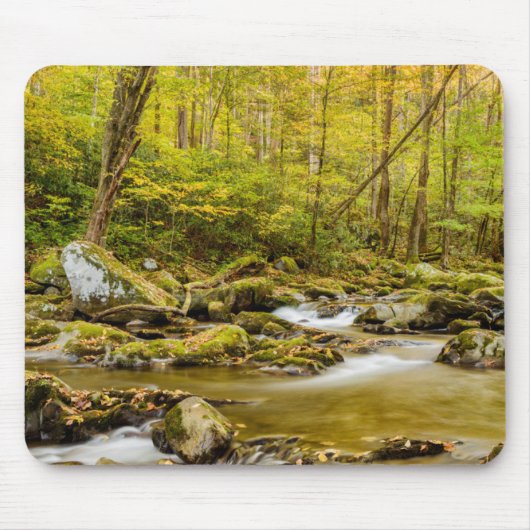Big Creek | North Carolina Muismat (Voorkant)