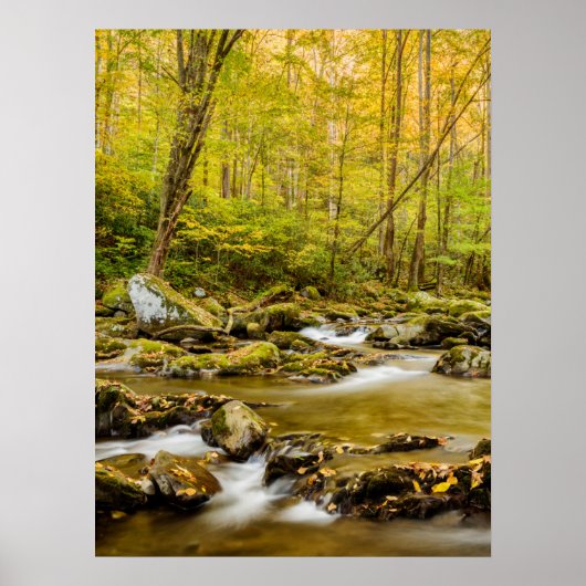 Big Creek | North Carolina Poster (Voorkant)