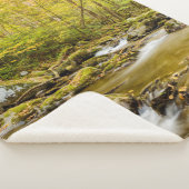 Big Creek | North Carolina Sherpa Deken (3/4)