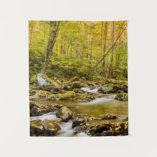 Big Creek | North Carolina Wandkleed (Voorkant)