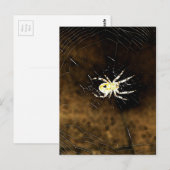 Big Creepy Spider op het web Briefkaart (Voorkant / Achterkant)