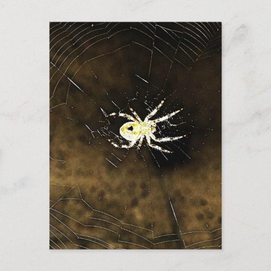 Big Creepy Spider op het web Briefkaart (Voorkant)
