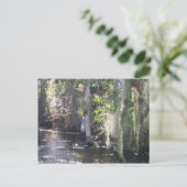 Big Cypress Briefkaart (Staand voorkant)