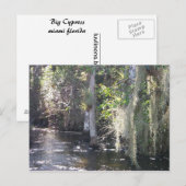 Big Cypress Briefkaart (Voorkant / Achterkant)