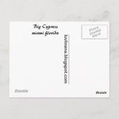 Big Cypress Briefkaart (Achterkant)