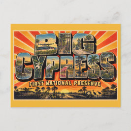 Big Cypress National Preserve Florida Moeras Briefkaart