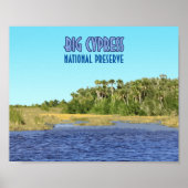 Big Cypress National Preserve Florida Poster (Voorkant)