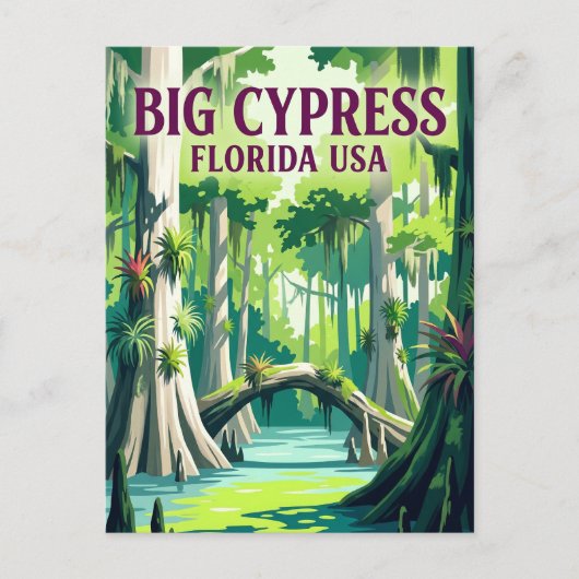 Big Cypress National Preserve VS Briefkaart (Voorkant)