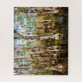 Big Cypress Preserve Legpuzzel (Verticaal)