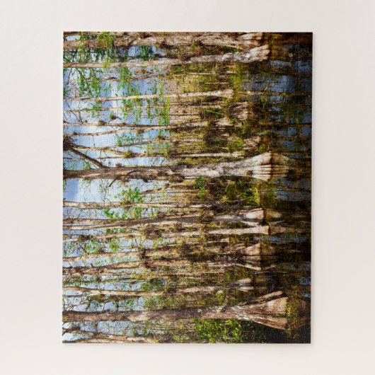Big Cypress Preserve Legpuzzel (Verticaal)