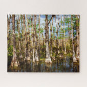 Big Cypress Preserve Legpuzzel (Horizontaal)