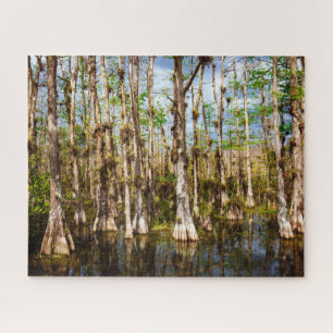 Big Cypress Preserve Legpuzzel