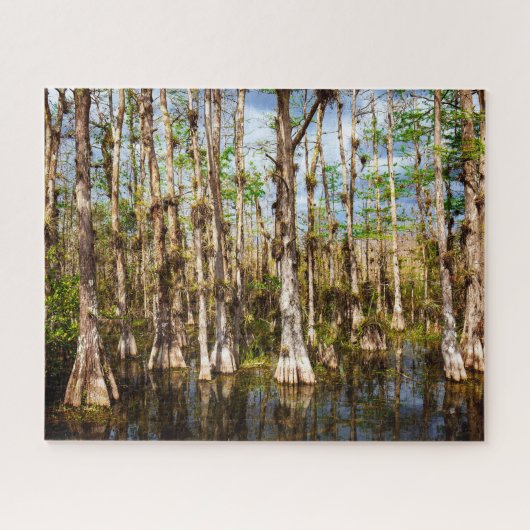 Big Cypress Preserve Legpuzzel (Horizontaal)