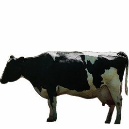 Big Dairy Cow Sculpture Staand Fotobeeldje