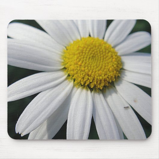 Big Daisy Muismat (Voorkant)