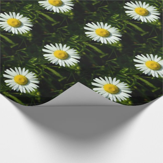 Big Daisy Wrapping Paper Cadeaupapier (Hoek)