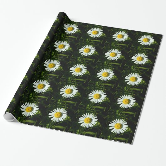 Big Daisy Wrapping Paper Cadeaupapier (Uitgerold)