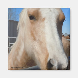 Big Dark Eyes Golden Blond Palomino Pony Magneet