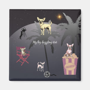 Big Dazzling Star Magneet